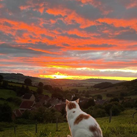 La Petite Maison Dans La Campagne Massingy-lès-Vitteaux Екстериор снимка