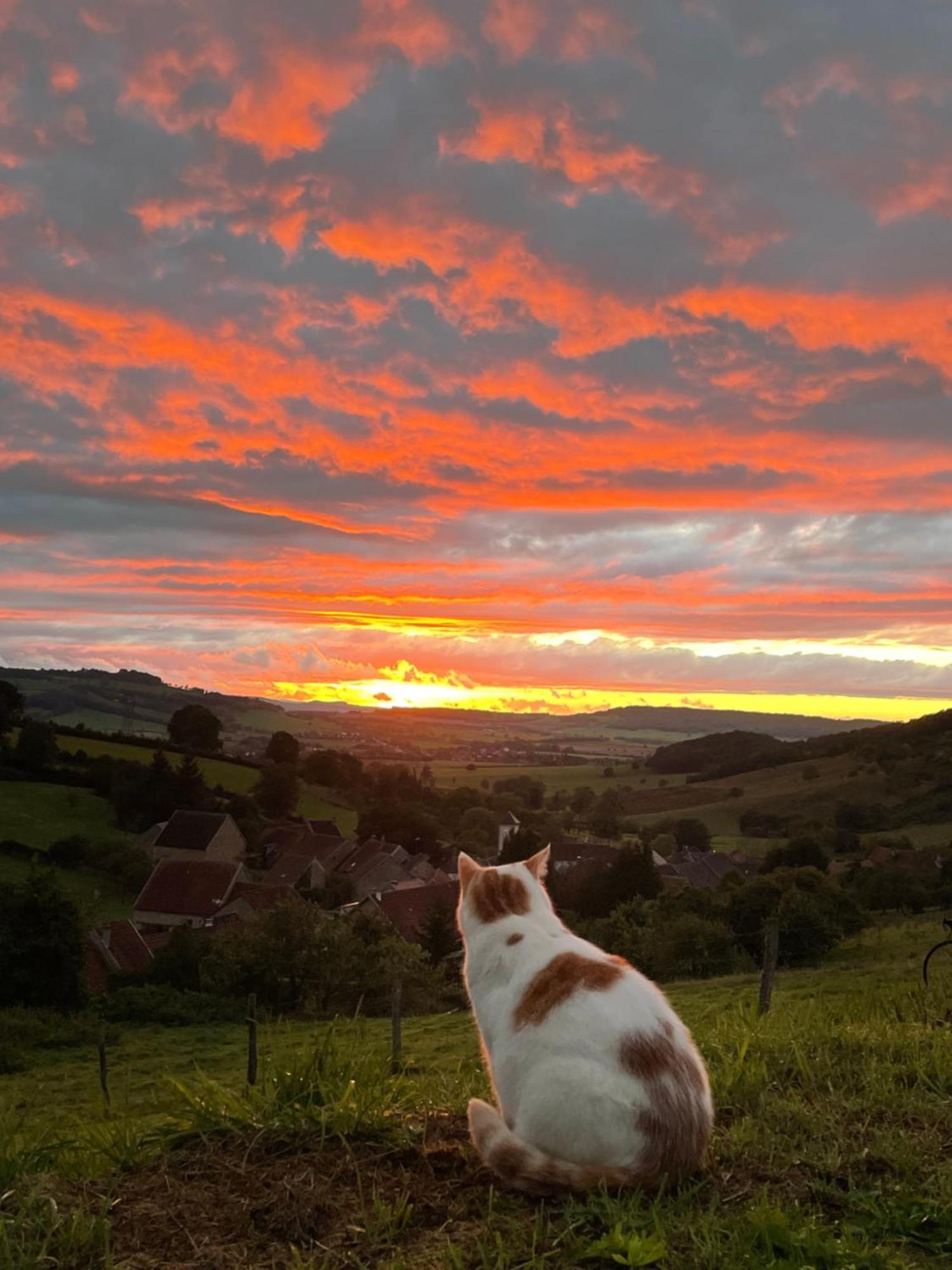 La Petite Maison Dans La Campagne Massingy-lès-Vitteaux Екстериор снимка